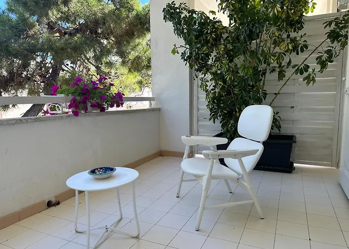 Teresa Maria Porto Cesareo