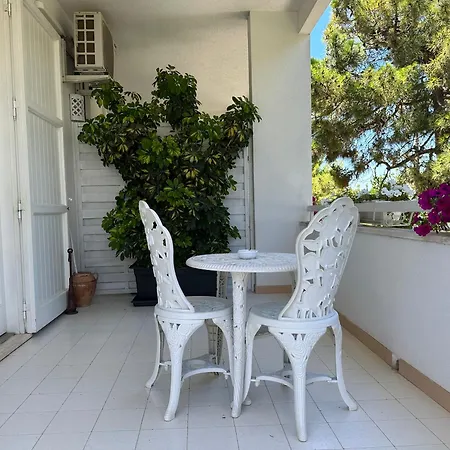 Teresa Maria Bed & Breakfast Porto Cesareo